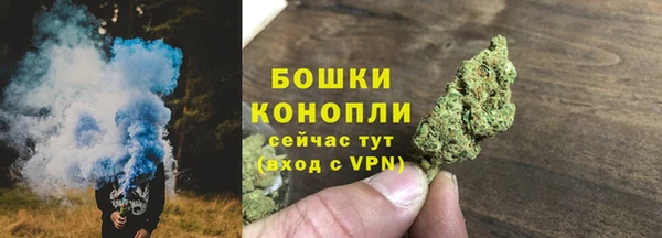 молекула духа Аркадак