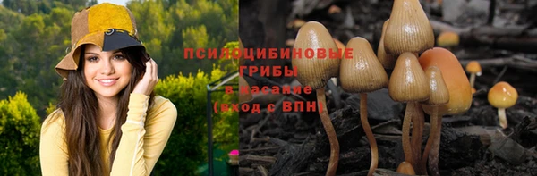 молекула духа Аркадак