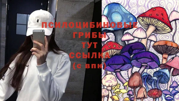 ПСИЛОЦИБИНОВЫЕ ГРИБЫ Армянск